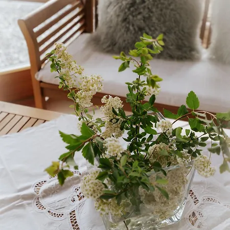 Apartament Badbruckerweg- Bad Gastein